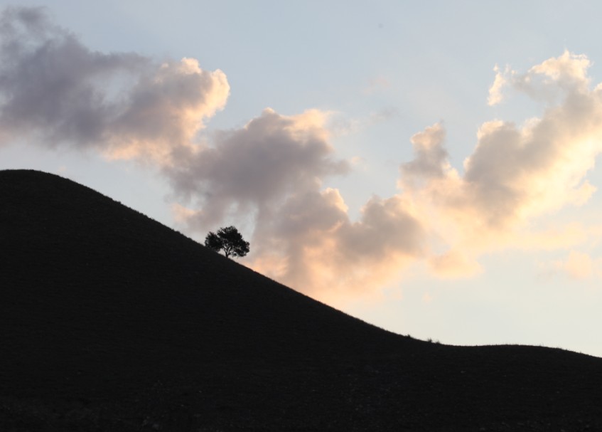 消息樹(shù)（新疆慶華集團(tuán)園區(qū)外景）